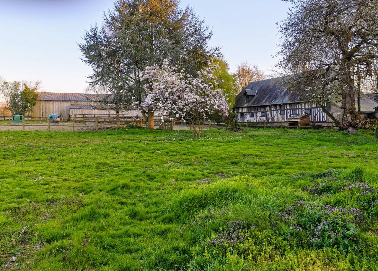 ECURIE DE PROPRIÉTAIRES - PENSIONS /30mn de Deauville 