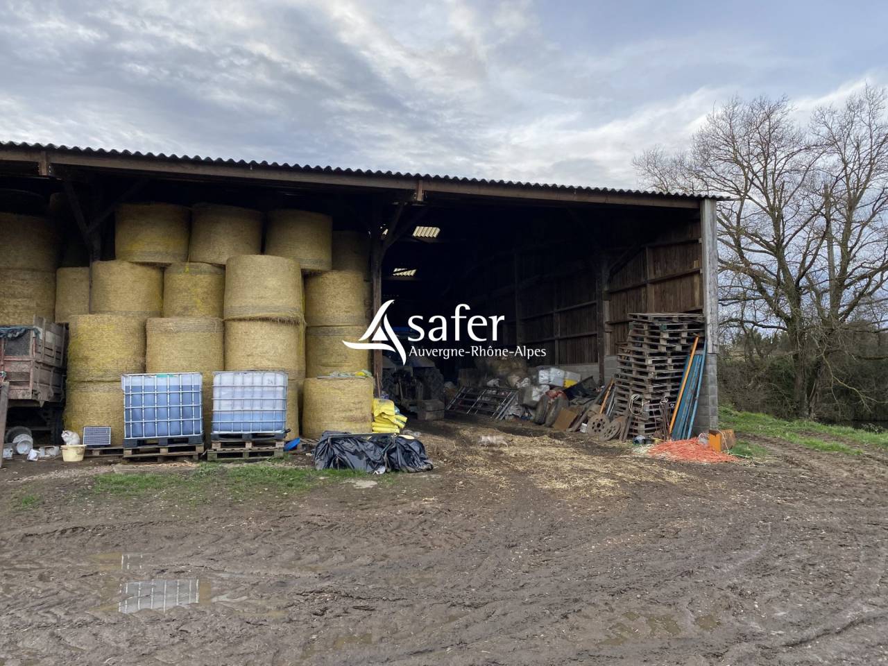 Exploitation agricole id&eacute;ale pour un projet d'installation av