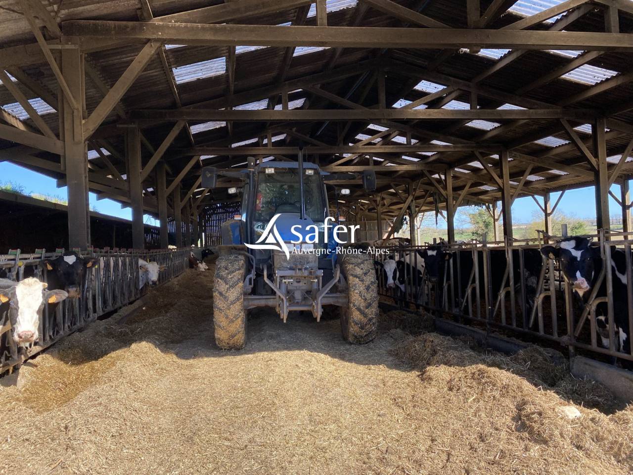 Exploitation agricole id&eacute;ale pour un projet d'installation av