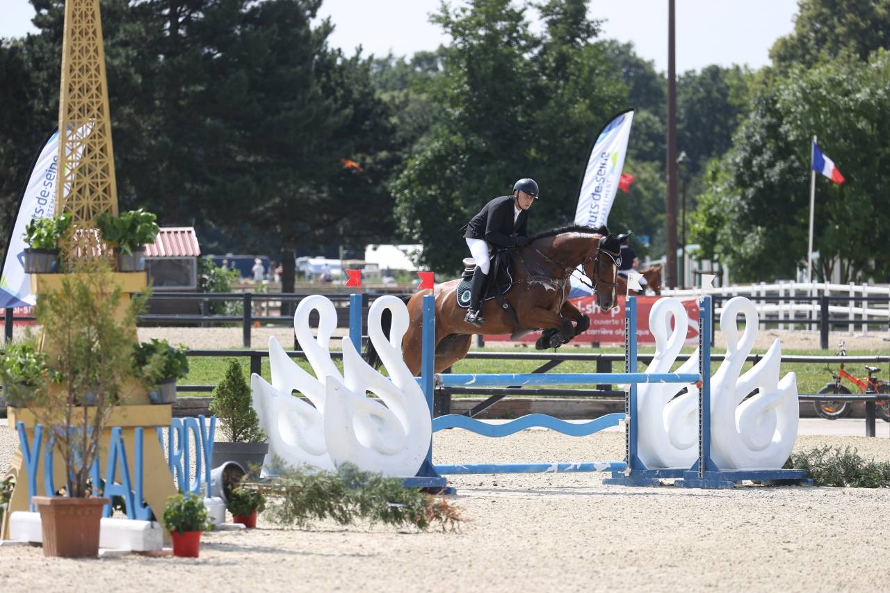 Hongre Zangersheide 9 ans