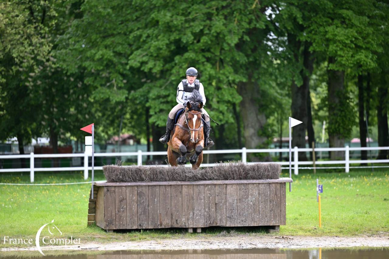 Hongre Zangersheide 9 ans