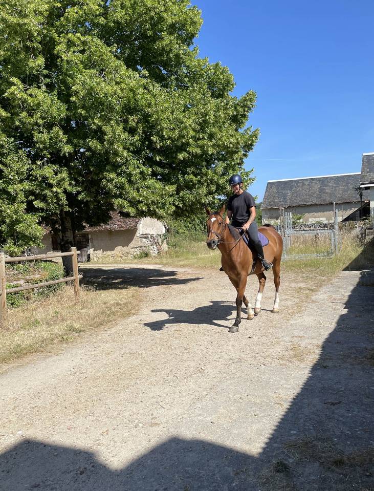 Pur sang anglais 10 ans