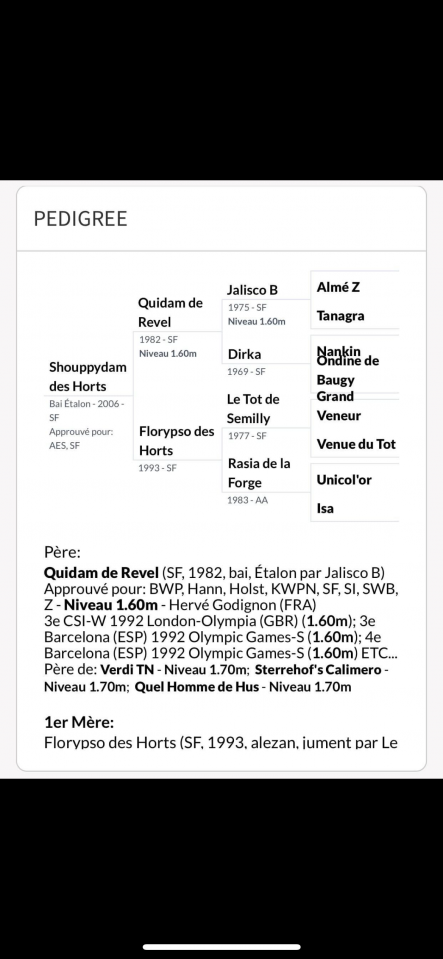 Paillettes Shouppydam des Horts 