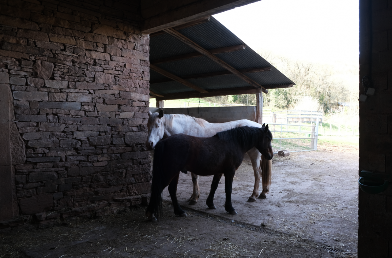 LE PRADAL HAUT - Pension en permaculture &eacute;quine
