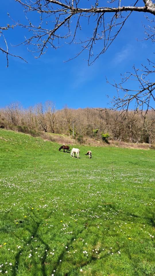 LE PRADAL HAUT - Pension en permaculture &eacute;quine
