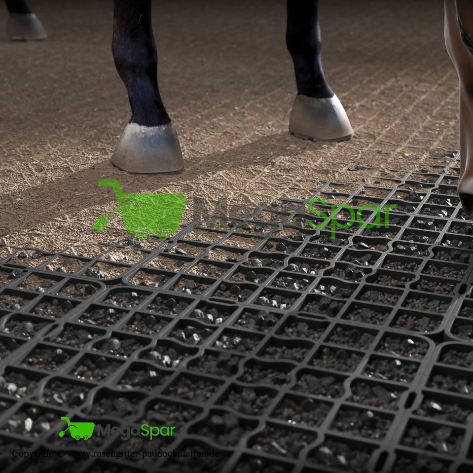 Dalles de stabilisation pour paddock