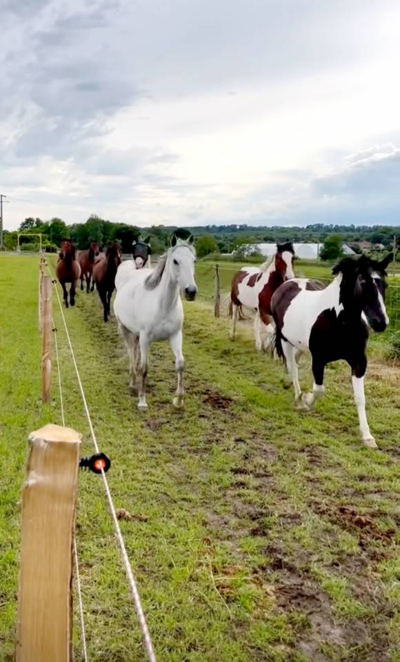 Pré Intégral - Seine et Marne 77