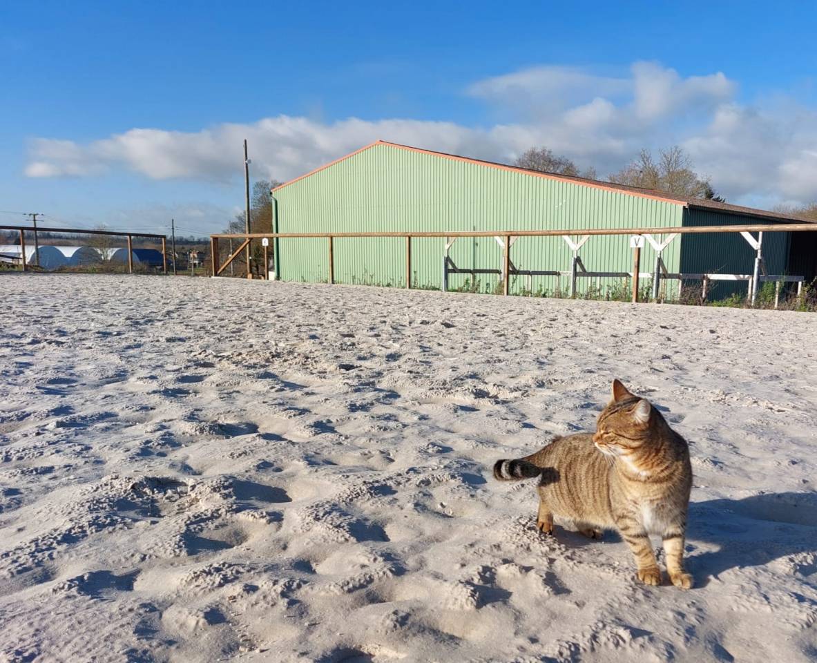 Pré Intégral - Seine et Marne 77