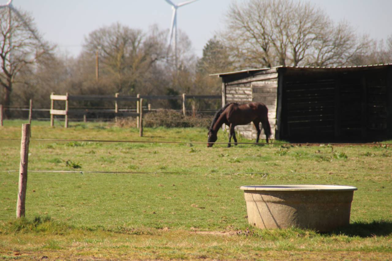 Domaine de L'EPECHERE