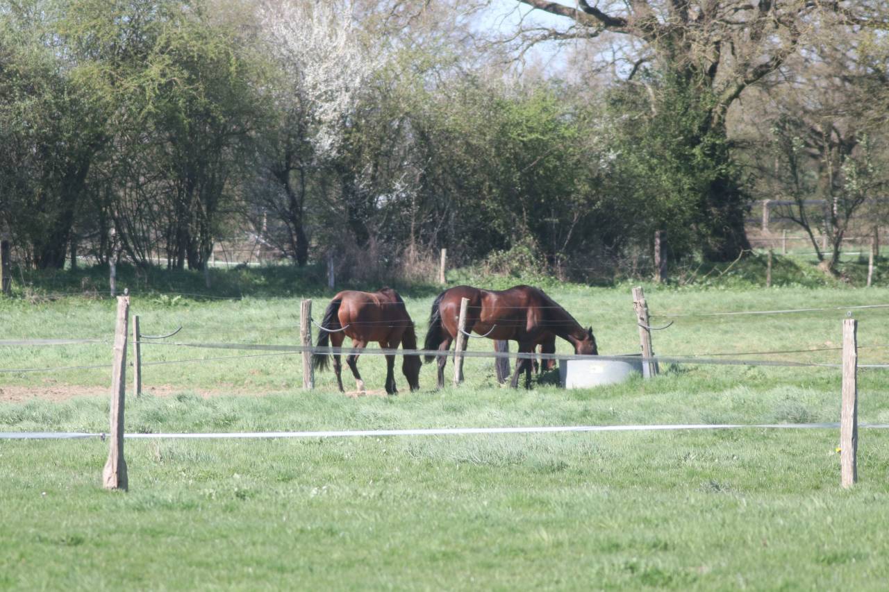 Domaine de L'EPECHERE