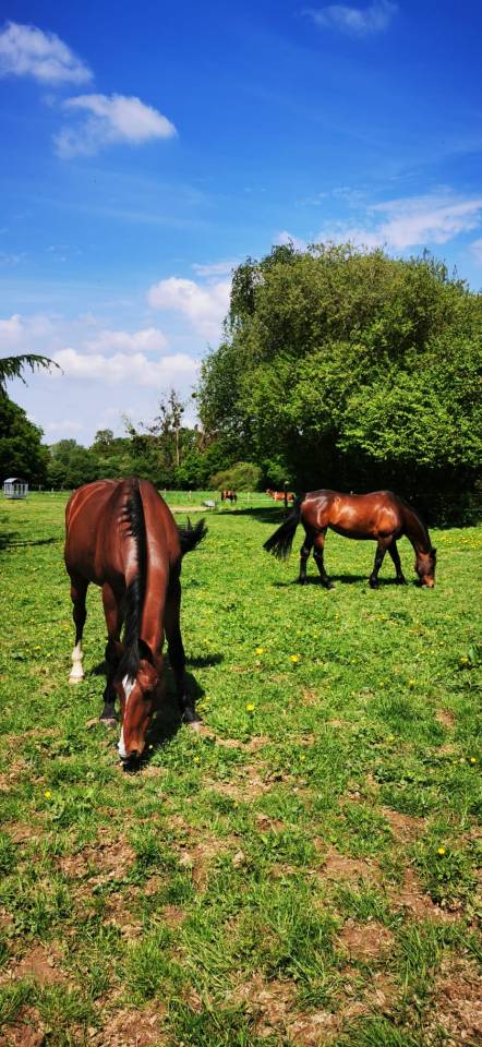 Domaine de L'EPECHERE