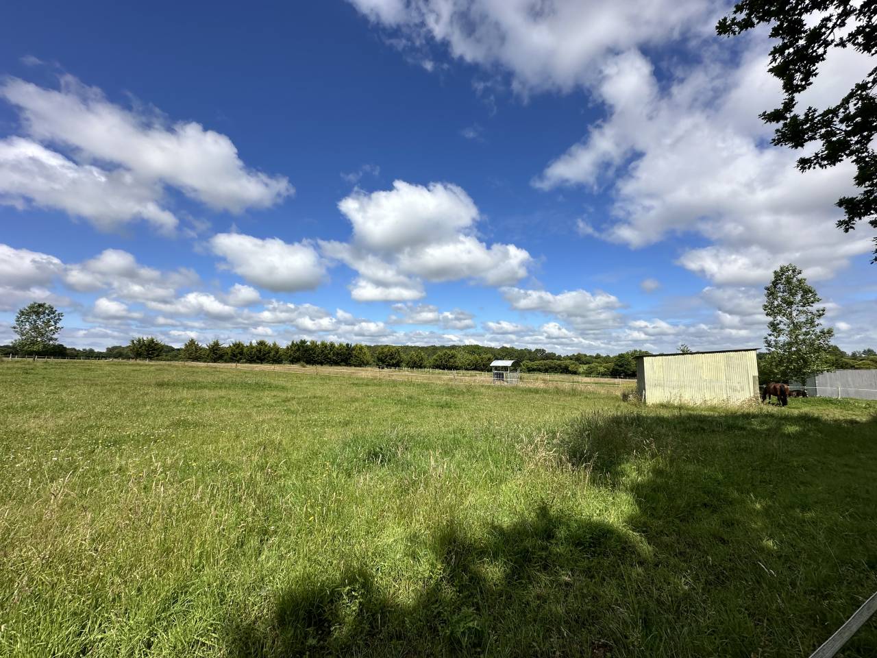 Pensions chevaux aux prés avec installations