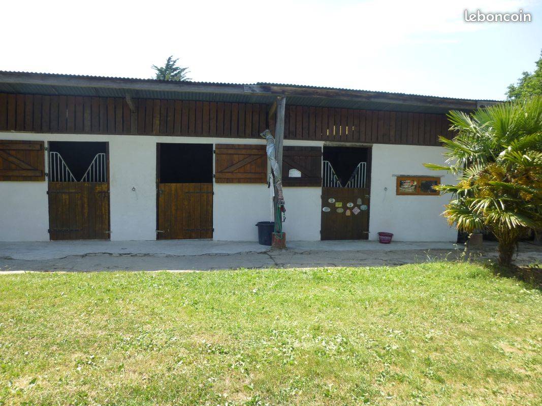 Pensions chevaux aux prés avec installations