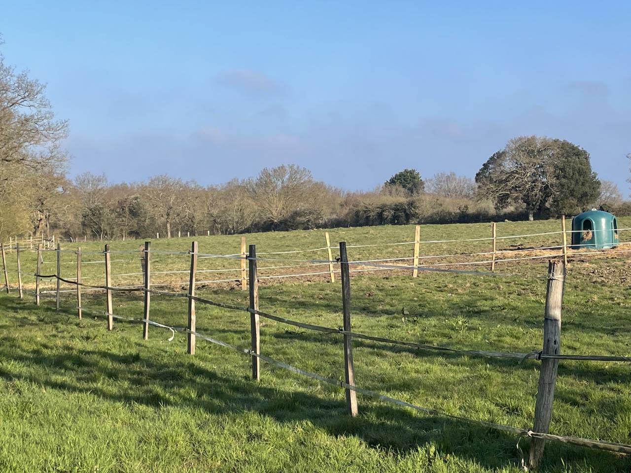 Pension cheval chez particulier