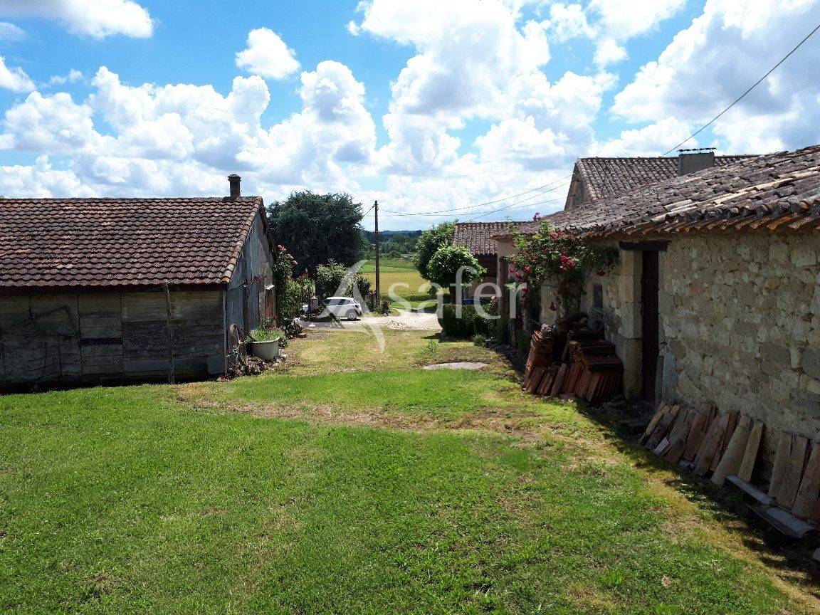 943427_1745461990_7316.jpg