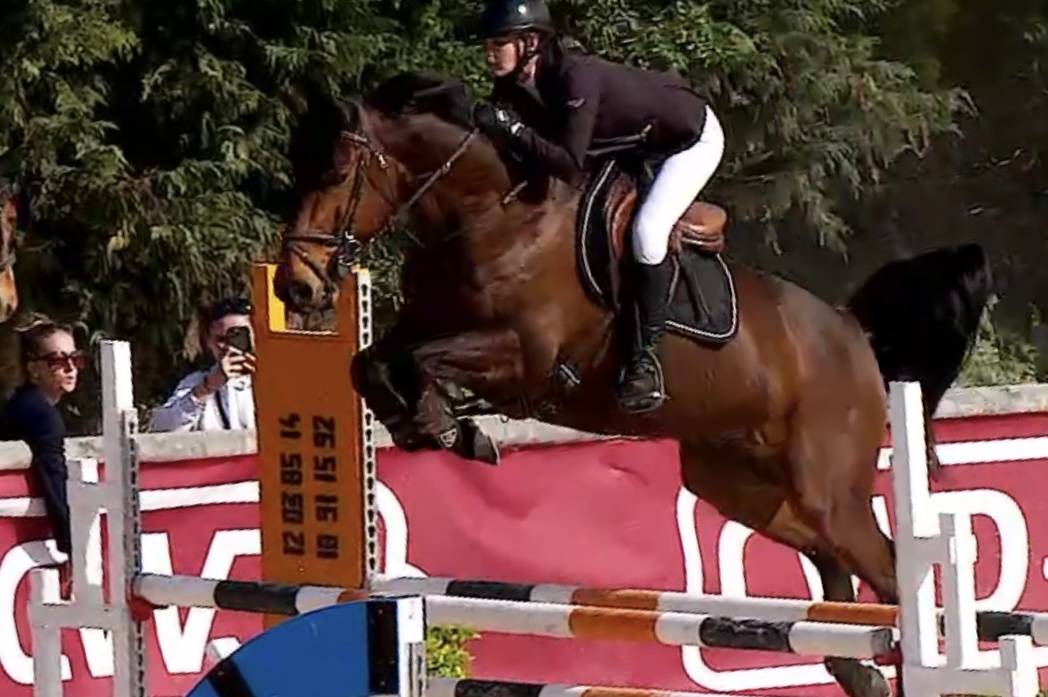 Valorisation / D&eacute;p&ocirc;t vente poneys et chevaux 