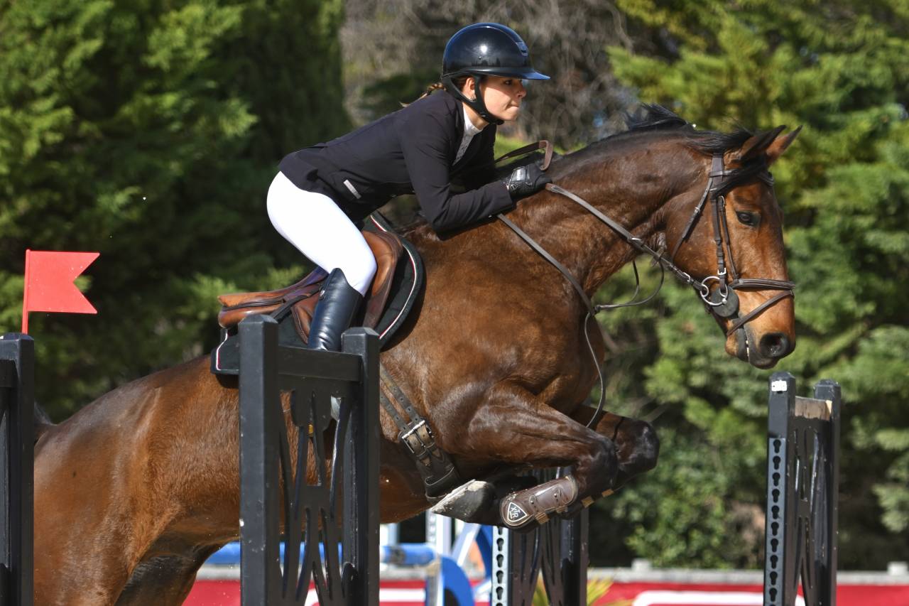 Valorisation / D&eacute;p&ocirc;t vente poneys et chevaux 