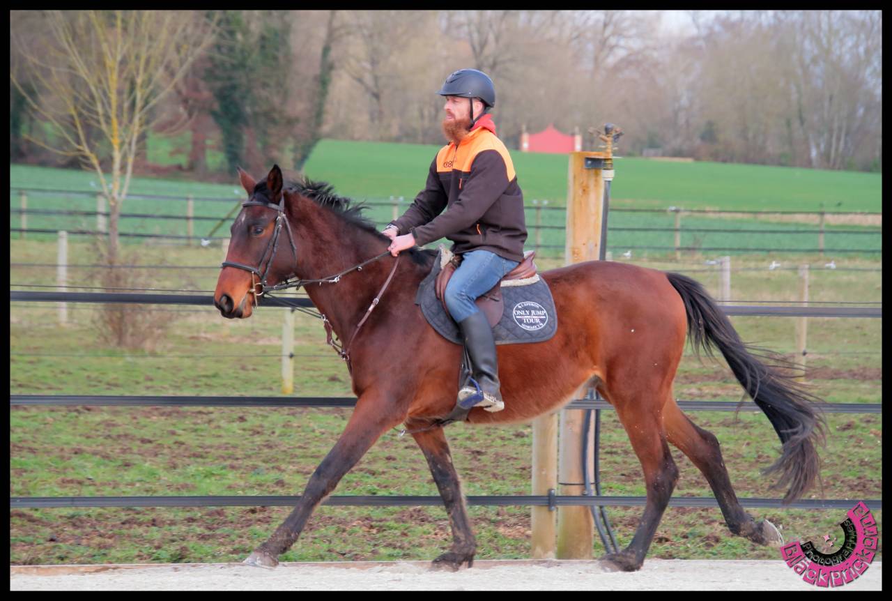 Cavalier de débourrage, rééducation et CSO