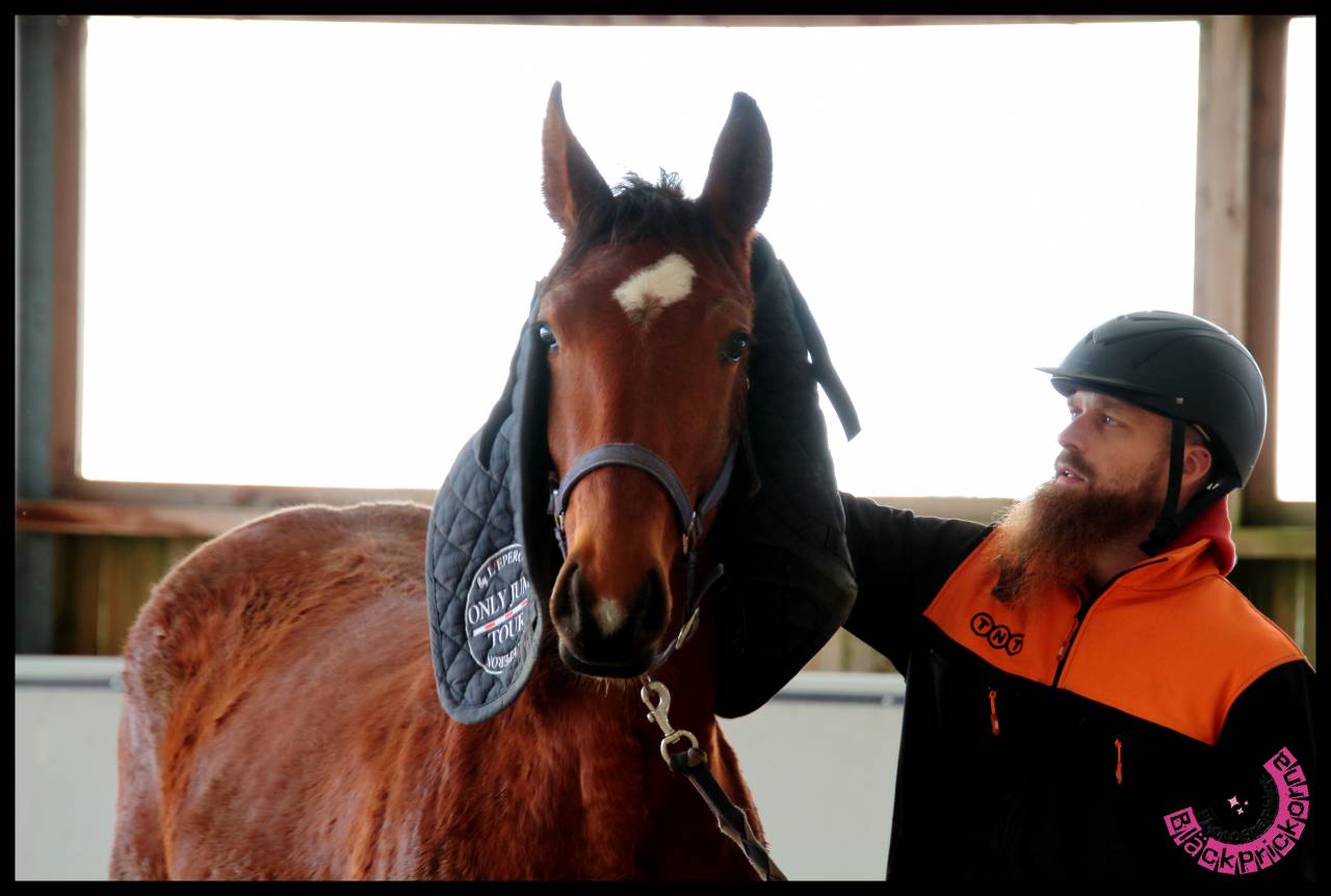 Cavalier de débourrage, rééducation et CSO