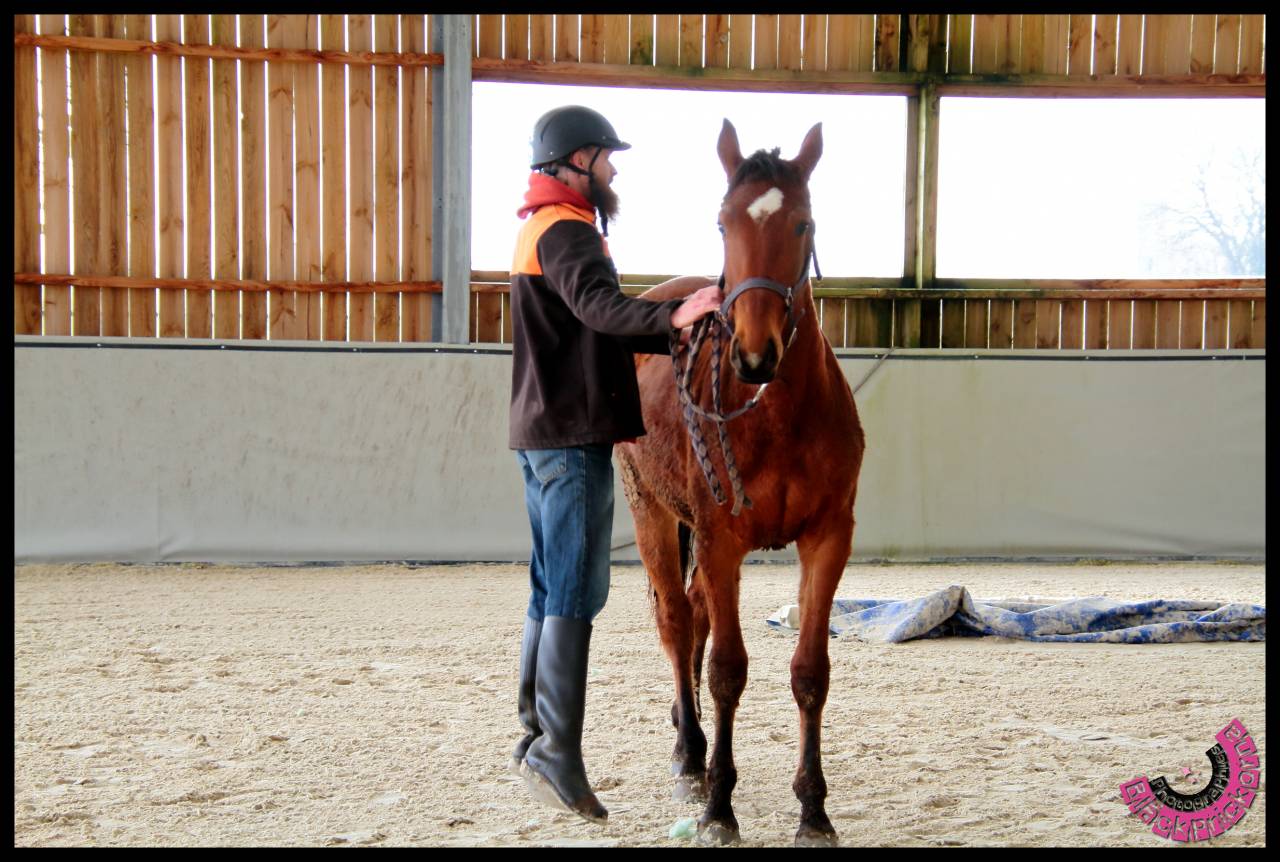 Cavalier de débourrage, rééducation et CSO