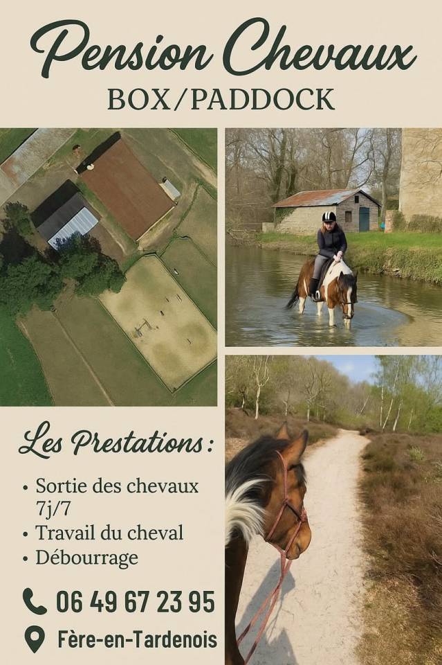 Pension chevaux 