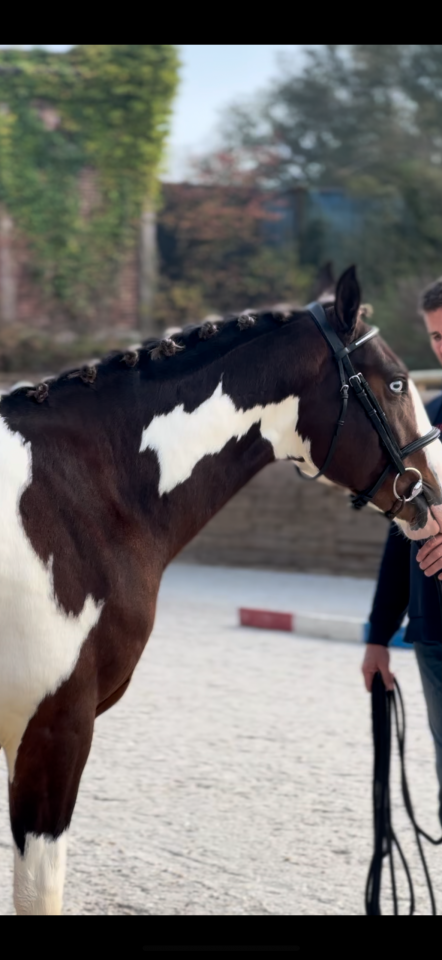 Saillie étalon agréé AES 