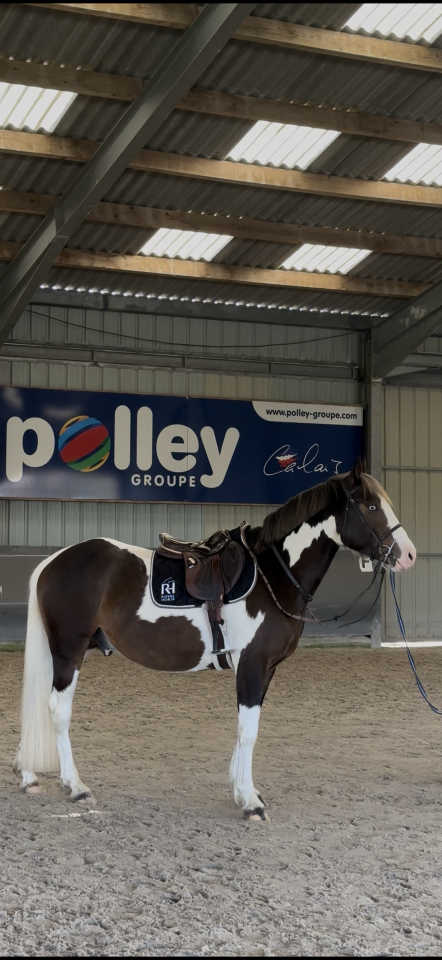 Saillie étalon agréé AES 