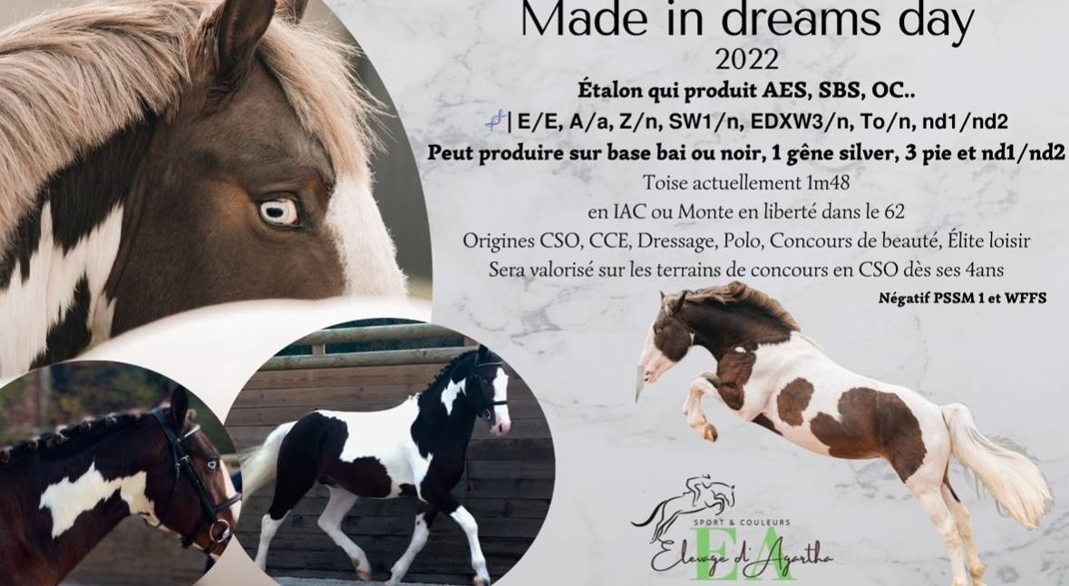 Saillie étalon agréé AES 