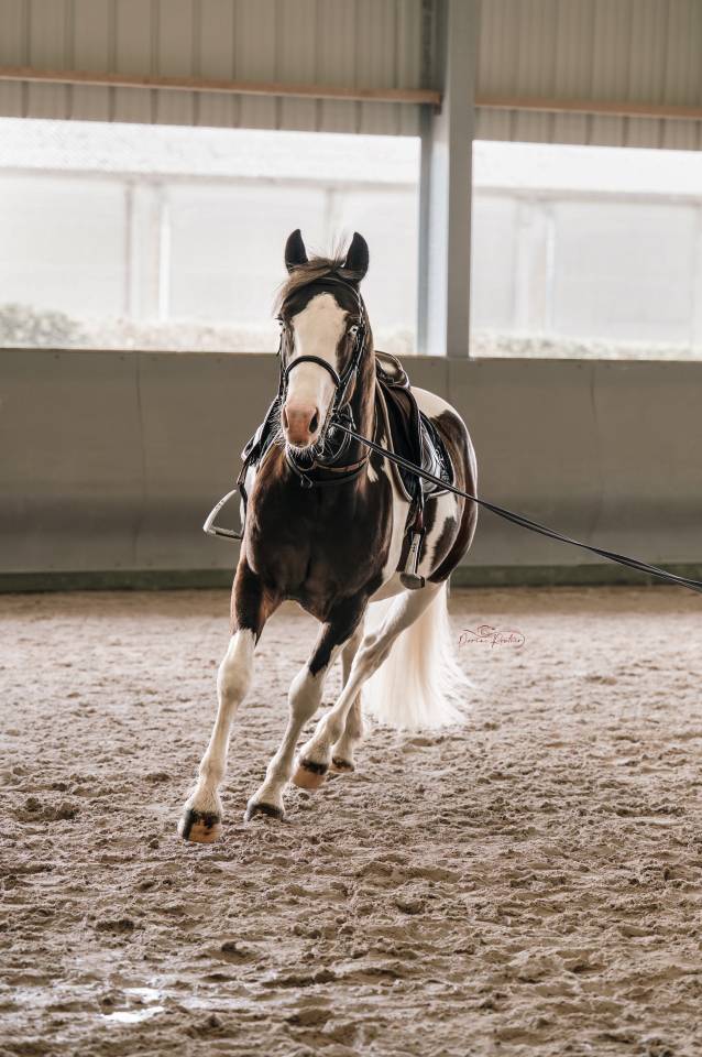 Saillie étalon agréé AES 