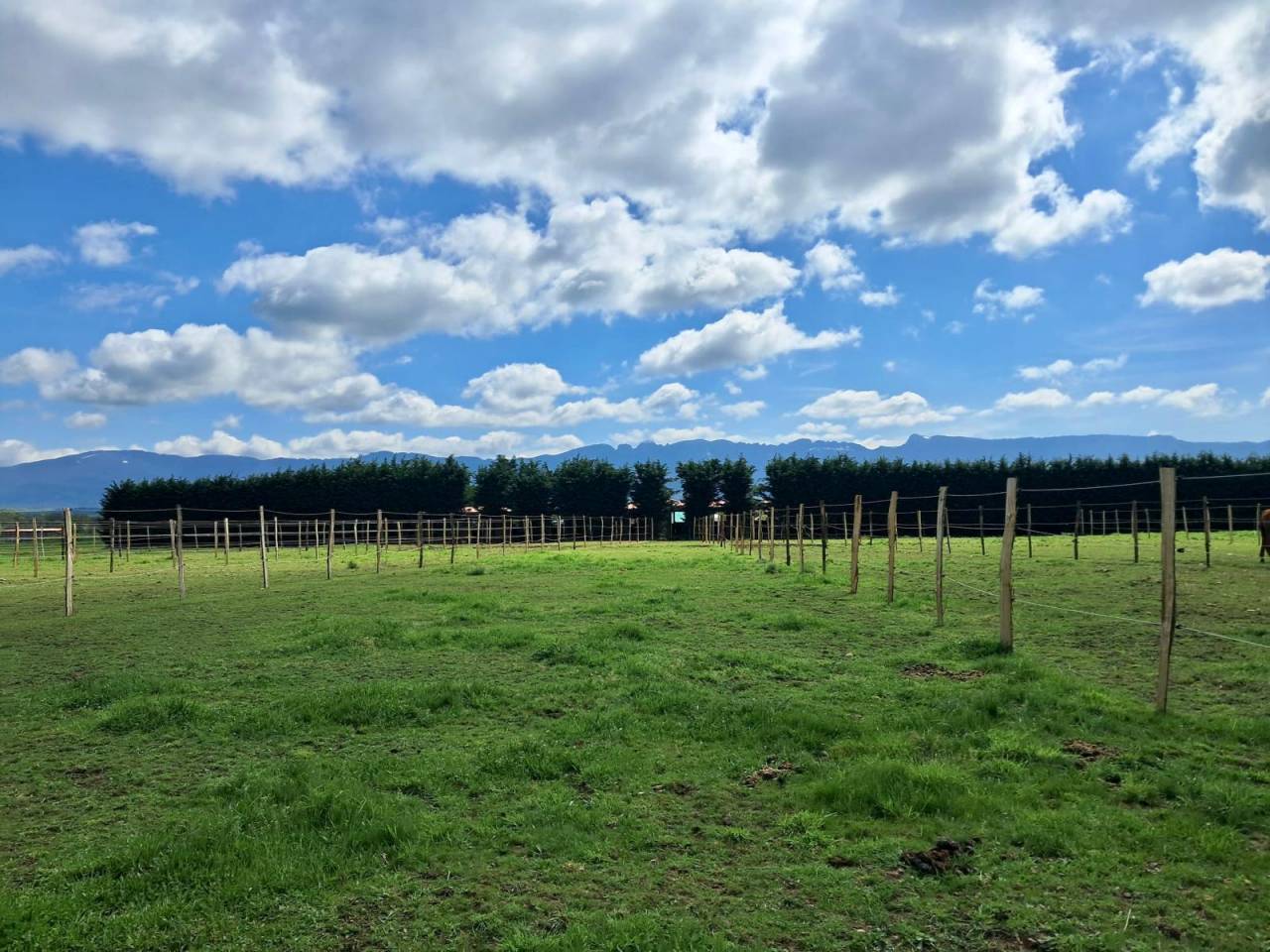 Box + paddock attenant