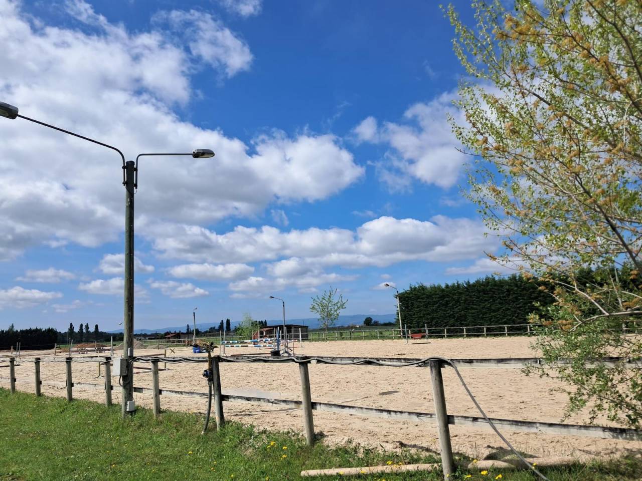 Box + paddock attenant