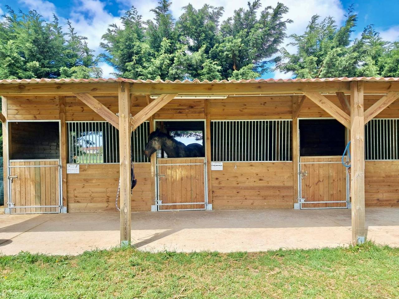 Box + paddock attenant