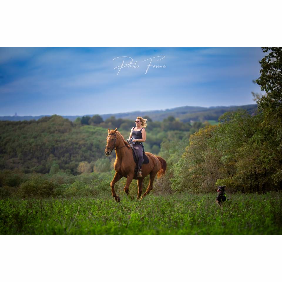 Photo Faune - Photographe animalier dans le Lot 