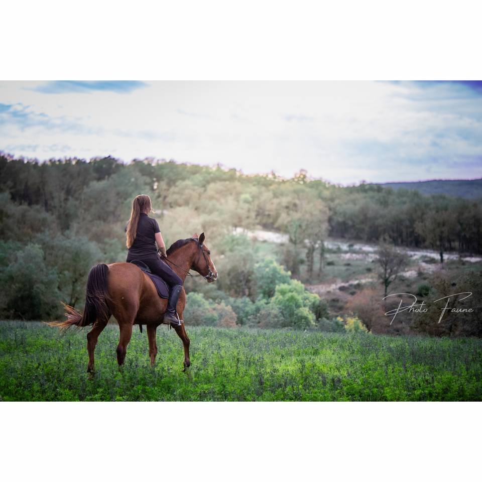 Photo Faune - Photographe animalier dans le Lot 