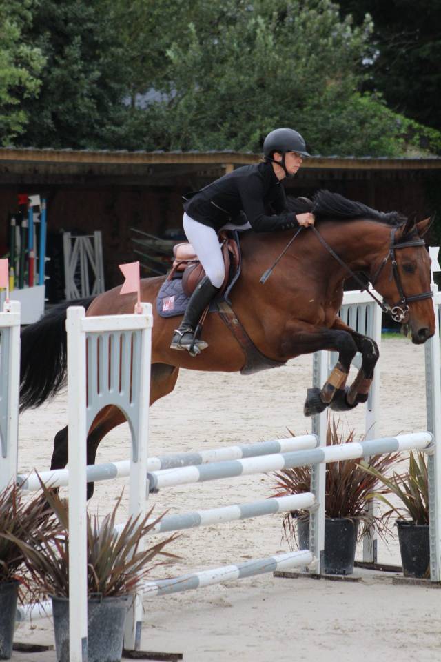 Cheval CSO / Vente