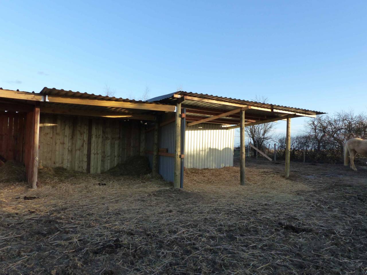 Pension au pré pour chevaux/poneys