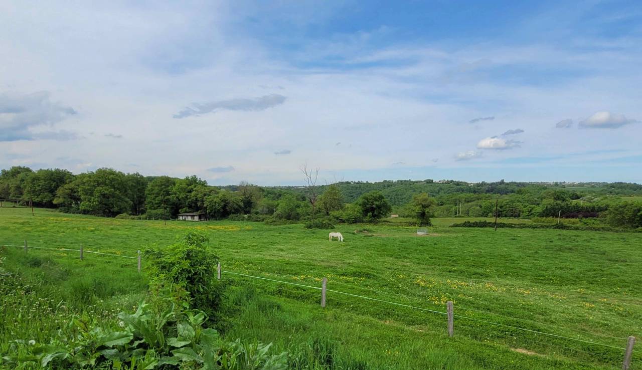 Pension au pré pour chevaux/poneys