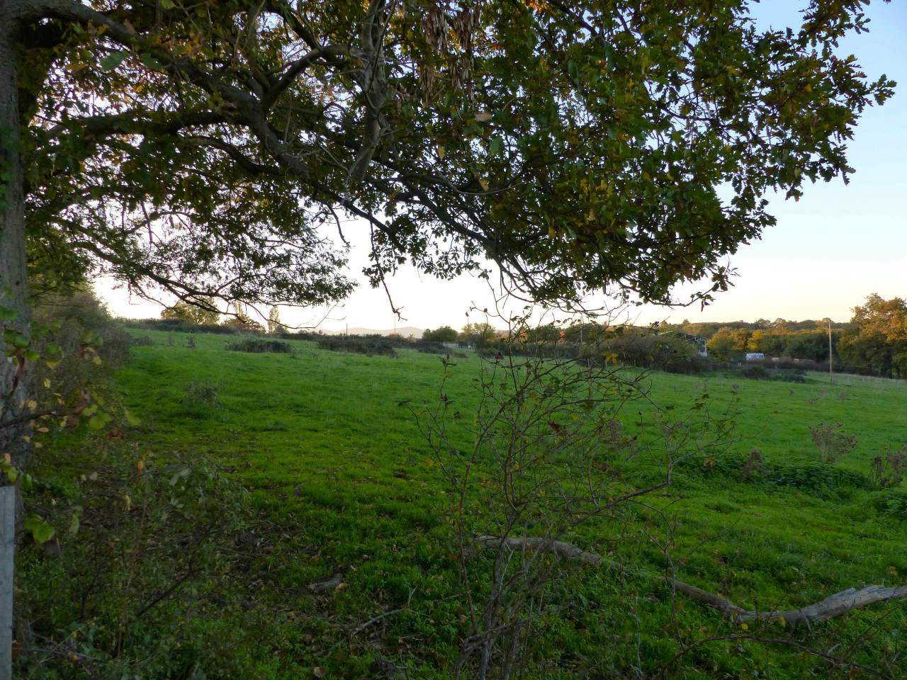 Pension au pré pour chevaux/poneys