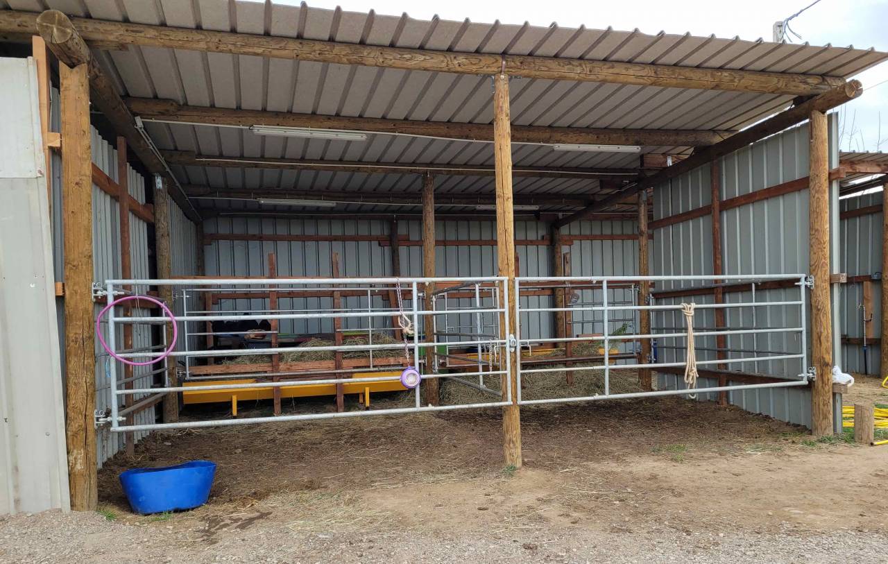 Pension au pré pour chevaux/poneys