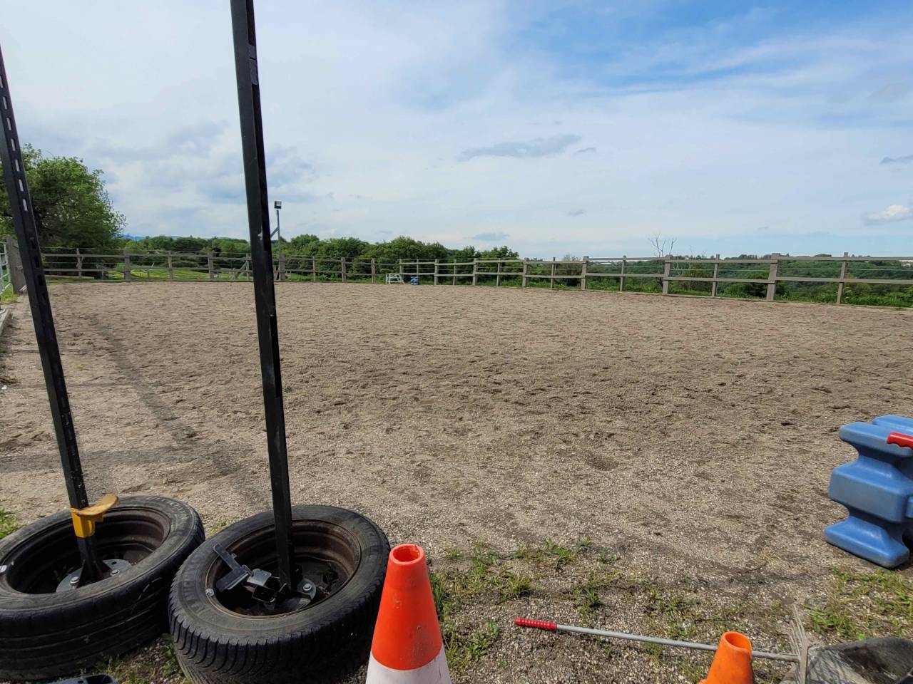 Pension au pré pour chevaux/poneys