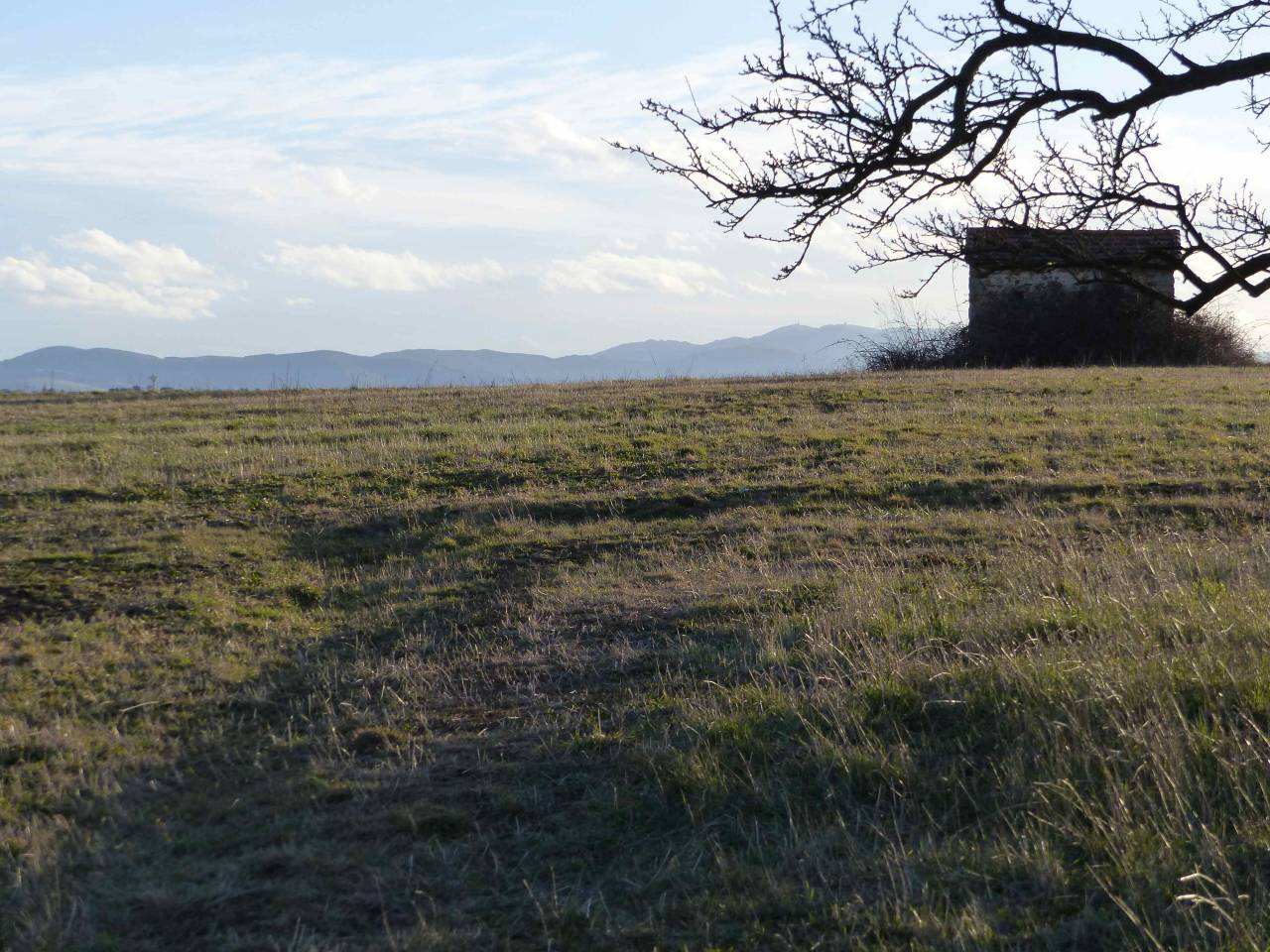Pension au pré pour chevaux/poneys
