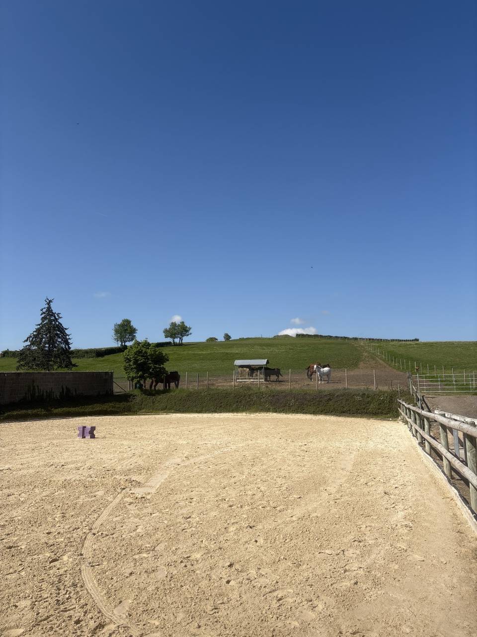 Ecurie de propri&eacute;t&eacute; pension pr&eacute; Rh&ocirc;ne 