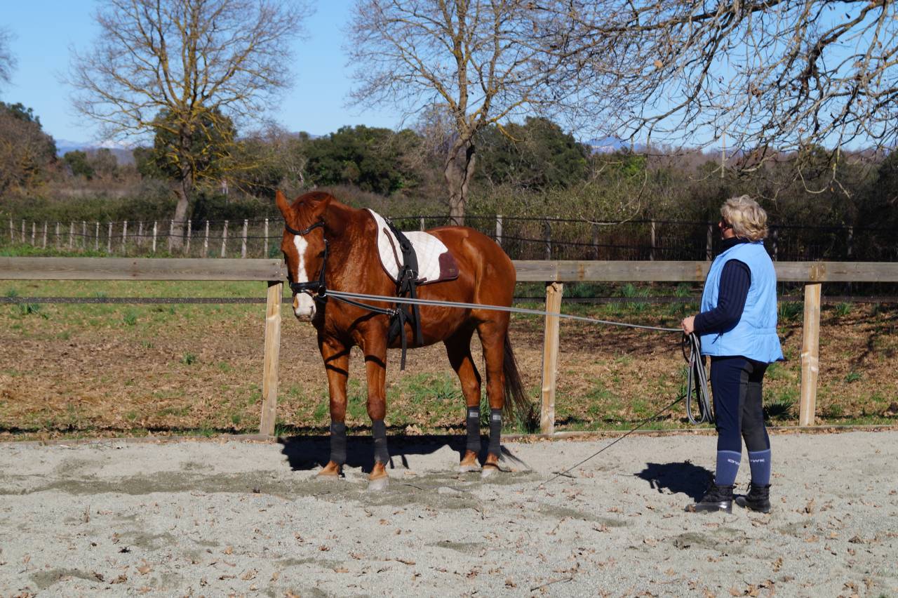 Enseignante indépendante en Centre Val de Loire.