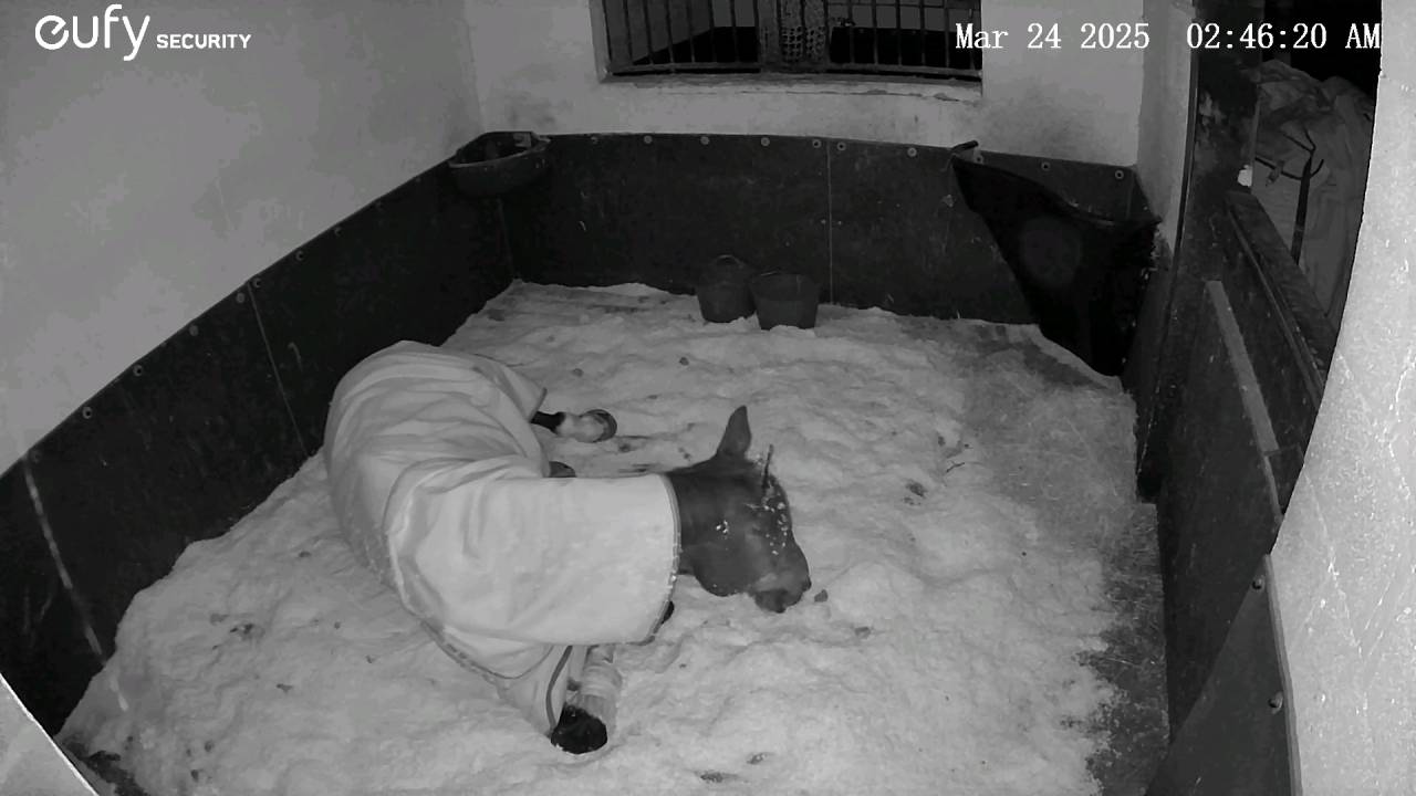 Les Écuries d'Iguzki 