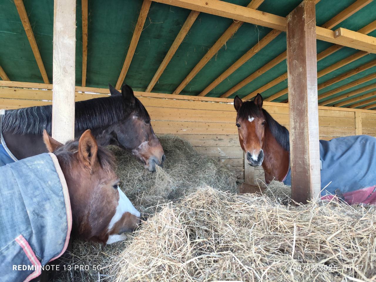 Les Écuries d'Iguzki 