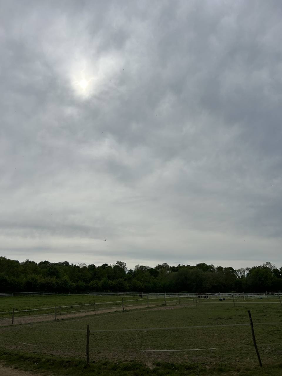 Pensions Box-paddock 10min de deauville
