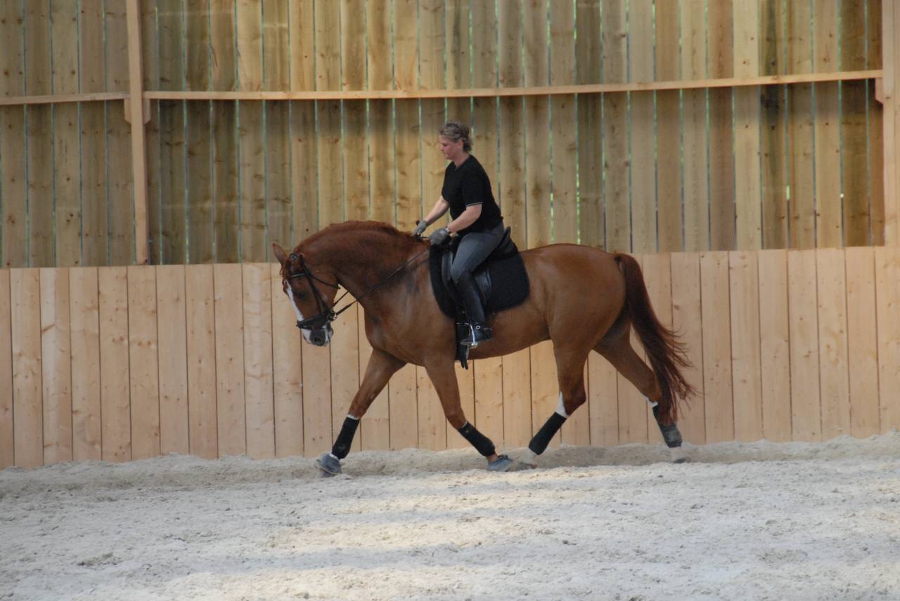 Enseignante indépendante en Centre Val de Loire.