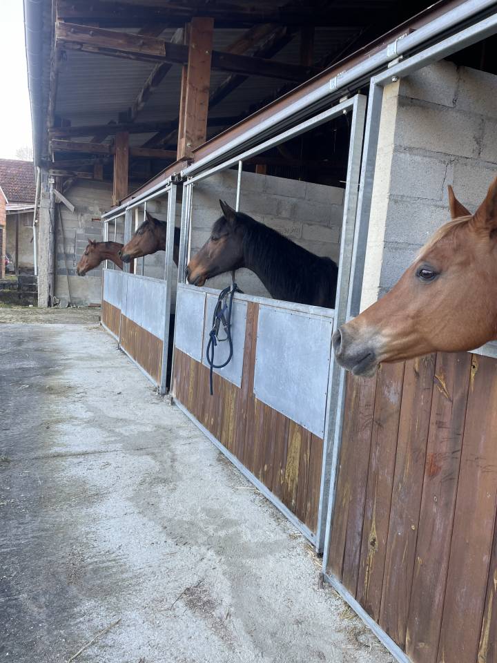 Écurie de propriétaires proche Toucy (89130)