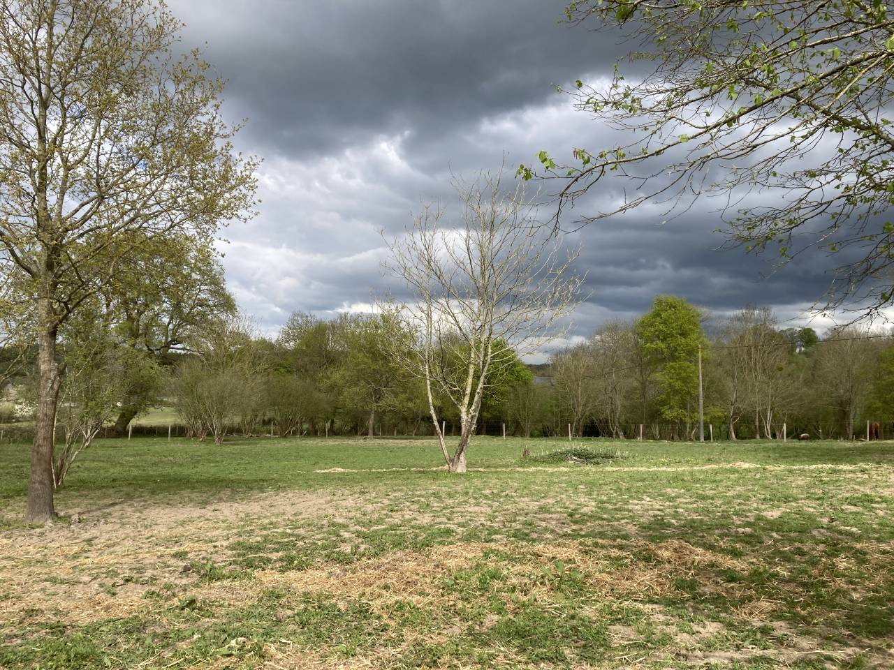 Pension chevaux repos/retraite/ poulinière 