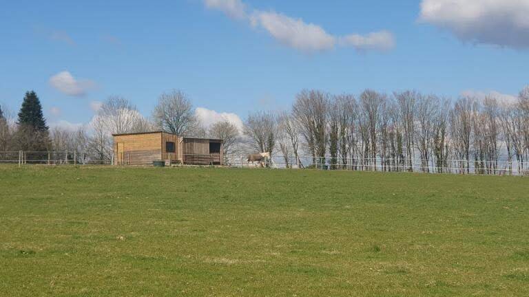 Pensions chevaux - Ecurie Les 3 Saints 19210 